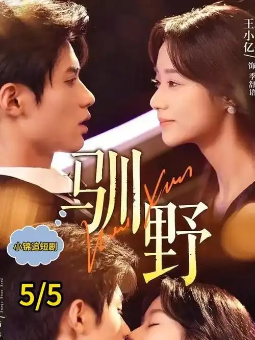长夜将尽 剧集海报
